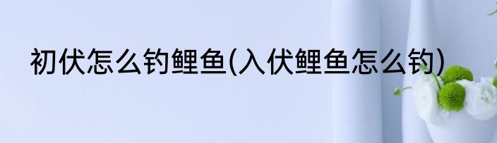 初伏怎么钓鲤鱼(入伏鲤鱼怎么钓)