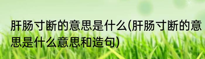 肝肠寸断的意思是什么(肝肠寸断的意思是什么意思和造句)