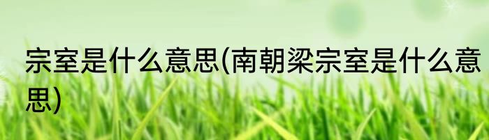 宗室是什么意思(南朝梁宗室是什么意思)
