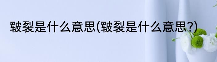 皲裂是什么意思(皲裂是什么意思?)