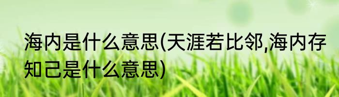 海内是什么意思(天涯若比邻,海内存知己是什么意思)