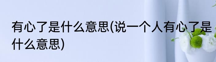 有心了是什么意思(说一个人有心了是什么意思)