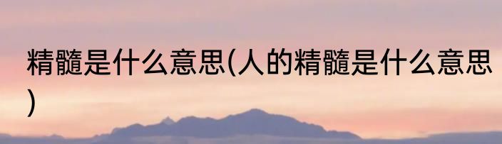 精髓是什么意思(人的精髓是什么意思)