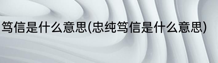 笃信是什么意思(忠纯笃信是什么意思)