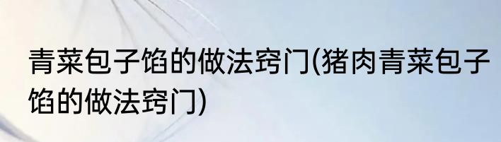 青菜包子馅的做法窍门(猪肉青菜包子馅的做法窍门)