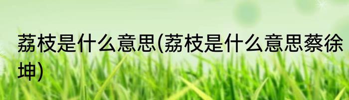 荔枝是什么意思(荔枝是什么意思蔡徐坤)