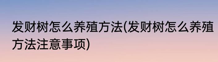 发财树怎么养殖方法(发财树怎么养殖方法注意事项)