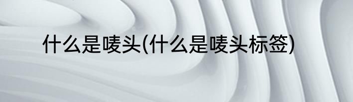 什么是唛头(什么是唛头标签)