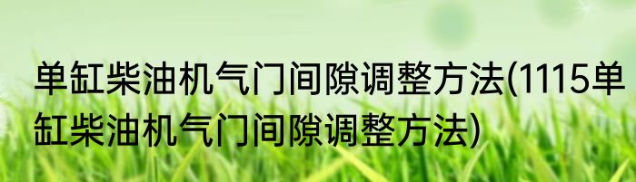 单缸柴油机气门间隙调整方法(1115单缸柴油机气门间隙调整方法)