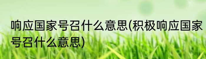 响应国家号召什么意思(积极响应国家号召什么意思)