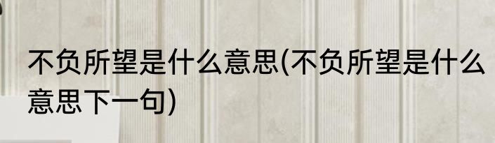 不负所望是什么意思(不负所望是什么意思下一句)