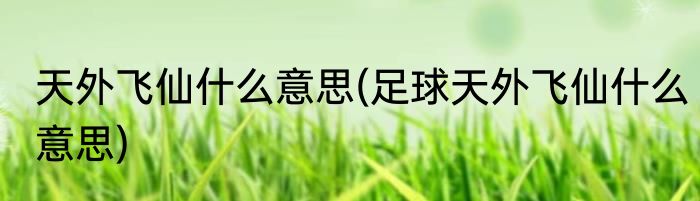 天外飞仙什么意思(足球天外飞仙什么意思)