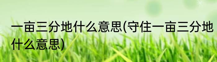 一亩三分地什么意思(守住一亩三分地什么意思)