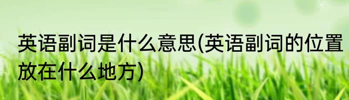 英语副词是什么意思(英语副词的位置放在什么地方)