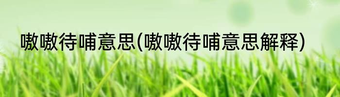 嗷嗷待哺意思(嗷嗷待哺意思解释)