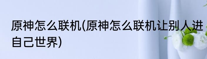 原神怎么联机(原神怎么联机让别人进自己世界)