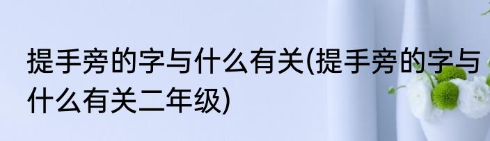 提手旁的字与什么有关(提手旁的字与什么有关二年级)