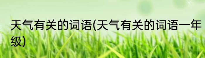 天气有关的词语(天气有关的词语一年级)