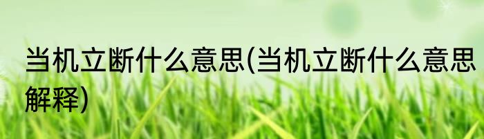 当机立断什么意思(当机立断什么意思解释)