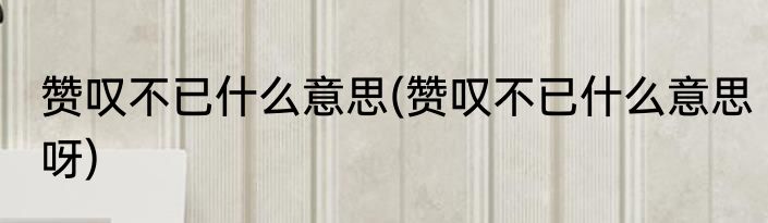 赞叹不已什么意思(赞叹不已什么意思呀)