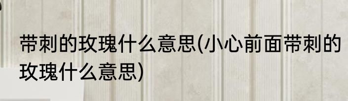 带刺的玫瑰什么意思(小心前面带刺的玫瑰什么意思)