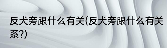 反犬旁跟什么有关(反犬旁跟什么有关系?)