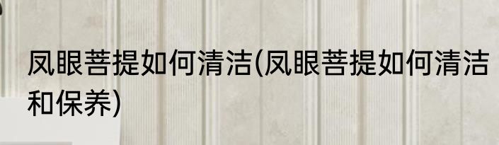 凤眼菩提如何清洁(凤眼菩提如何清洁和保养)