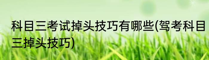 科目三考试掉头技巧有哪些(驾考科目三掉头技巧)