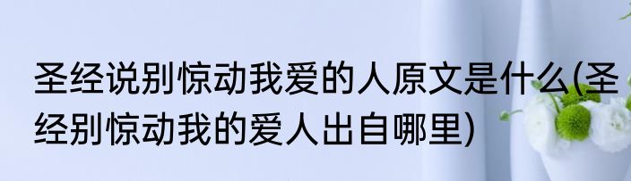 圣经说别惊动我爱的人原文是什么(圣经别惊动我的爱人出自哪里)