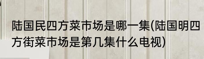 陆国民四方菜市场是哪一集(陆国明四方街菜市场是第几集什么电视)