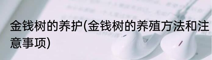 摩尔庄园毛毛菇怎么获得(摩尔庄园毛毛菇怎么获得晴天)