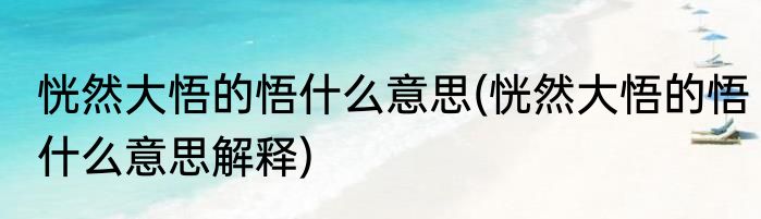 恍然大悟的悟什么意思(恍然大悟的悟什么意思解释)