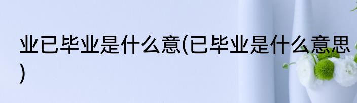 业已毕业是什么意(已毕业是什么意思)