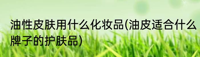 油性皮肤用什么化妆品(油皮适合什么牌子的护肤品)