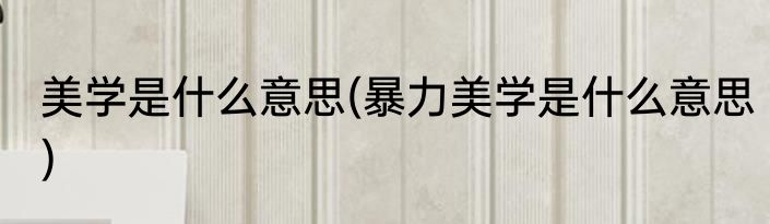 美学是什么意思(暴力美学是什么意思)