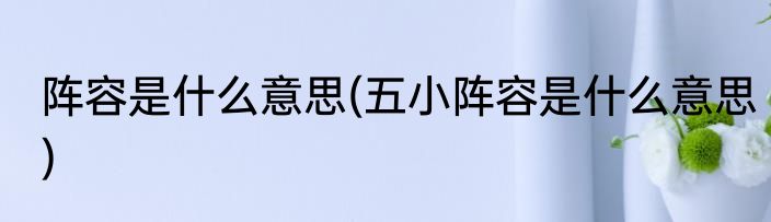 阵容是什么意思(五小阵容是什么意思)
