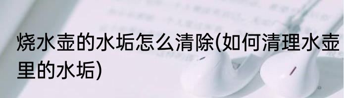 烧水壶的水垢怎么清除(如何清理水壶里的水垢)