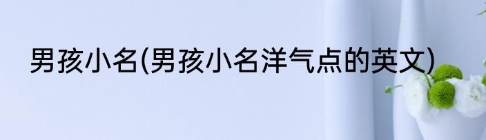 男孩小名(男孩小名洋气点的英文)