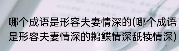 哪个成语是形容夫妻情深的(哪个成语是形容夫妻情深的鹣鲽情深舐犊情深)