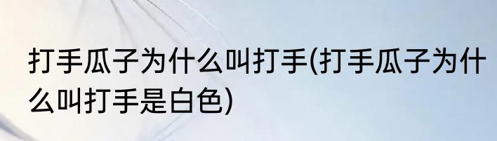 打手瓜子为什么叫打手(打手瓜子为什么叫打手是白色)