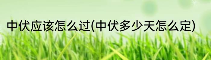 中伏应该怎么过(中伏多少天怎么定)