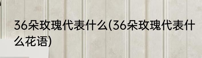 36朵玫瑰代表什么(36朵玫瑰代表什么花语)
