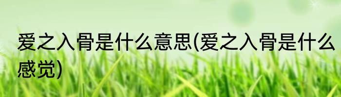 爱之入骨是什么意思(爱之入骨是什么感觉)