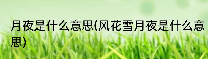 月夜是什么意思(风花雪月夜是什么意思)