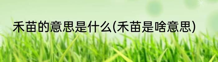 禾苗的意思是什么(禾苗是啥意思)