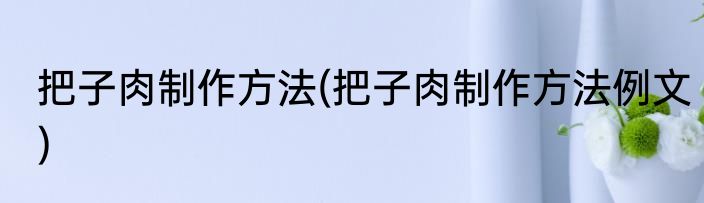 把子肉制作方法(把子肉制作方法例文)