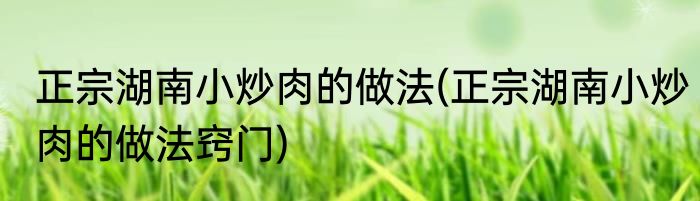 正宗湖南小炒肉的做法(正宗湖南小炒肉的做法窍门)