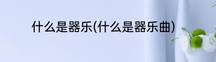 什么是器乐(什么是器乐曲)