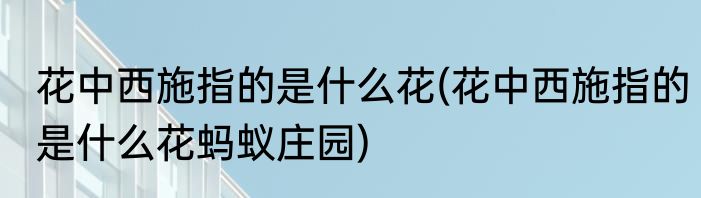 花中西施指的是什么花(花中西施指的是什么花蚂蚁庄园)