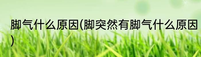 脚气什么原因(脚突然有脚气什么原因)